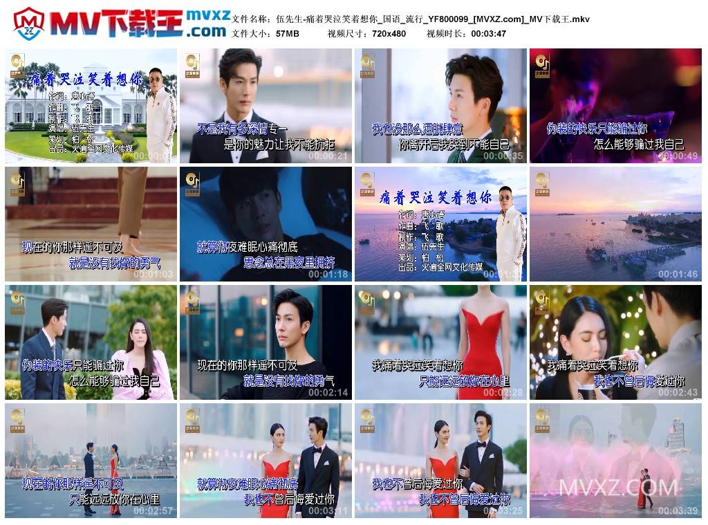 伍先生-痛着哭泣笑着想你_国语_流行_YF800099